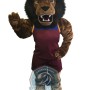 Sport Lion Mascot Costume