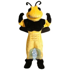 Power Muscular Bee Mascot Costume