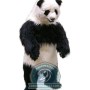 Realistic Lightweight Panda Mascot Costume