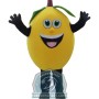 Lemon Mascot Costume