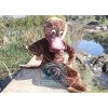 Platypus Mascot Costume