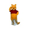Winnie the Pooh Mascot Costume