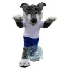 Realistic Wolf Mascot Costume