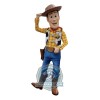 Cowboy Woody Mascot Costume