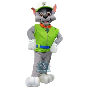 Paw Patrol Rocky Mascot Costume