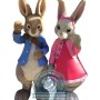 Peter Rabbit & Lily Bobtail Mascot Costume