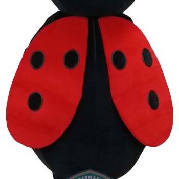 Ladybug Mascot Costume