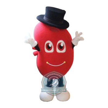Kidney Mascot Costume