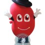 Kidney Mascot Costume