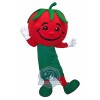 Realistic Tomato Mascot Costume