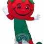 Realistic Tomato Mascot Costume