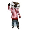 Bucky Badger Mascot Costume