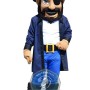 Realistic Pirate Mascot Costume