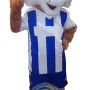 Sport Fox Mascot Costume