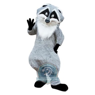 Cartoon Raccoon Mascot Costume