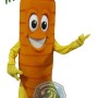Carrot Mascot Costume