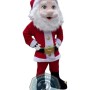 Santa Claus Mascot Costume