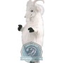 White Goat Mascot Costume