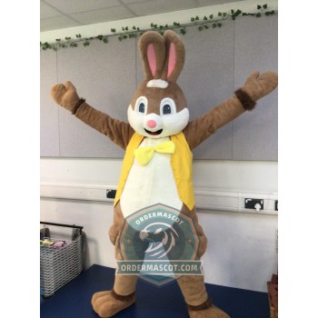 Cute Easter Bunny Rabbit Mascot Costume