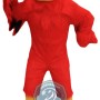 Fierce Red Eagle Mascot Costume