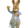 Realistic Lightweight Peter Rabbit Mascot Costume