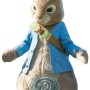 Deluxe Peter Rabbit Mascot Costume