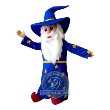 Wizard Mascot Costume