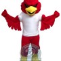 Fierce Cardinal Mascot Costume