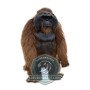 Realistic Orangutan Mascot Costume