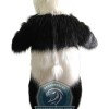 Adult Lightweight Panda Mascot Costume