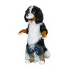 Bernese Mountain Dog Mascot Costume
