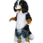 Bernese Mountain Dog Mascot Costume