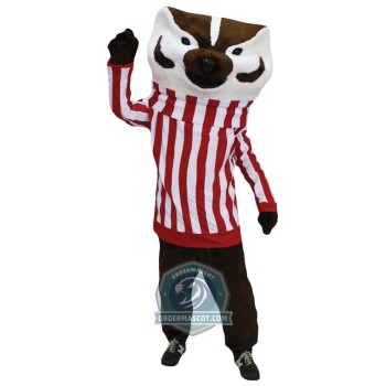 Badger Mascot Costume