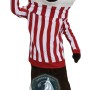 Badger Mascot Costume