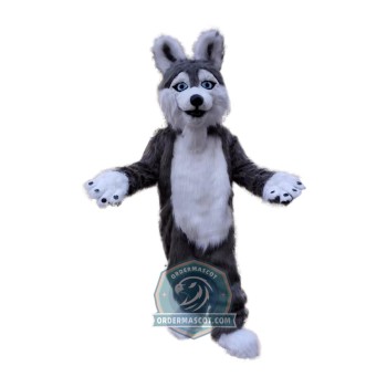Affordable Husky Dog Mascot Costume
