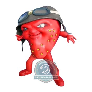 Strawberry Mascot Costume