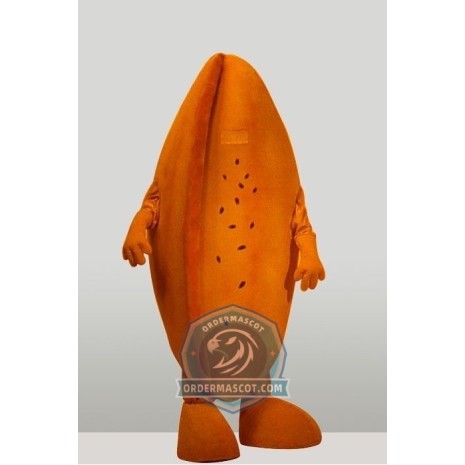Pecan Mascot Costume