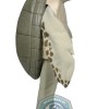 Realistic Deluxe Turtle Mascot Costume