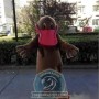 Realistic Platypus Mascot Costume For Adult