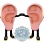 Ear Mascot Costume