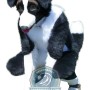 Cute Black & White Dog Mascot Costume