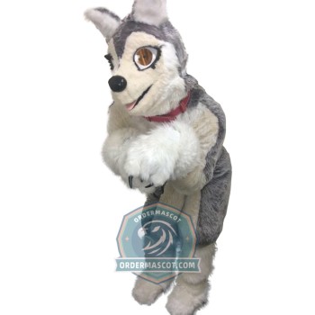 Cute Husky Dog Mascot Costume