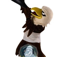 Realistic Sport Eagle Mascot Costume For Adult