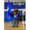 Sport Lightweight Owl Mascot Costume