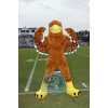 Sport Muscular Eagle Mascot Costume