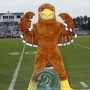 Sport Muscular Eagle Mascot Costume