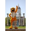 Sport Tiger Mascot Costume For Adult