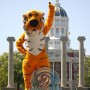 Sport Tiger Mascot Costume For Adult