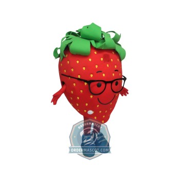 Cute Strawberry Mascot Costume